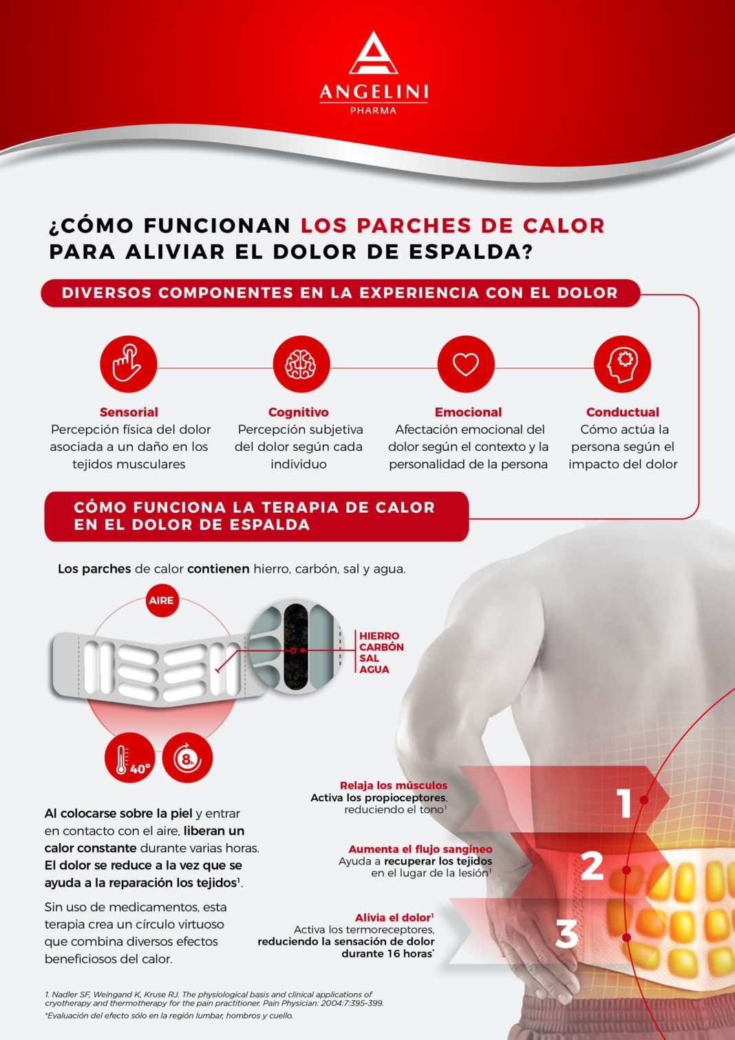 Foto de Infografía funcionamiento parches de calor dolor de espalda