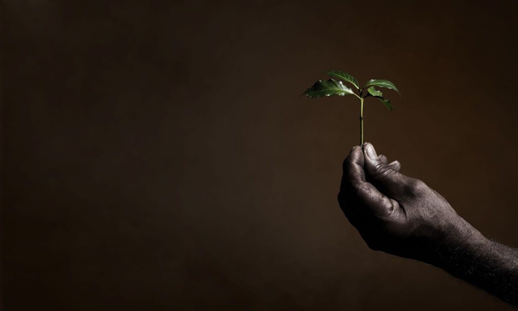 Foto de illy certificacion bcorp