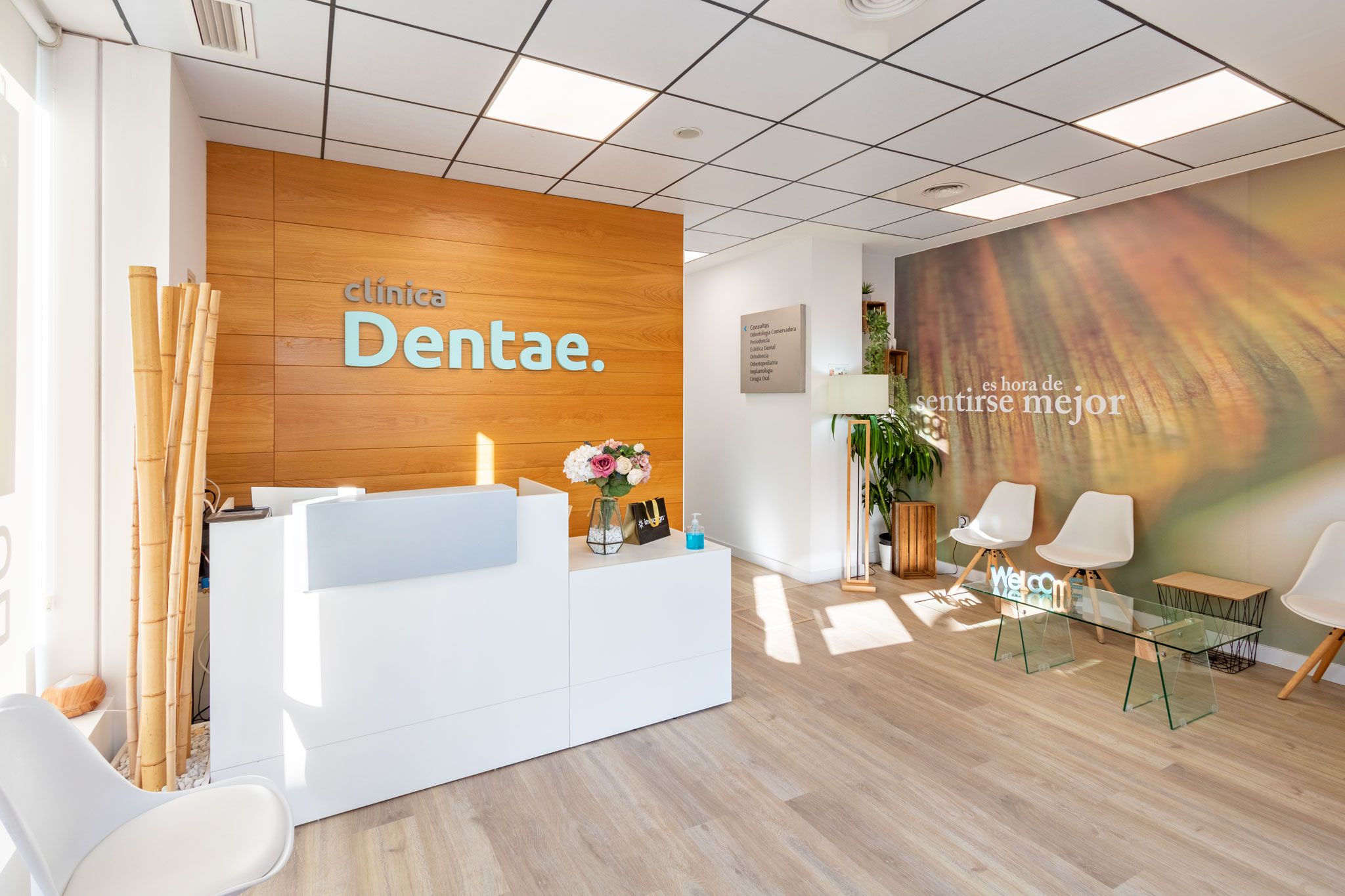 Dentae, la salud y la sonrisa de la familia