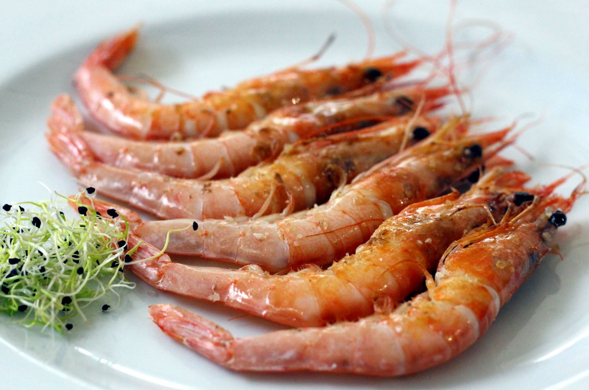 Materia Prima, una excelente propuesta gastronómica en el Corazón de Madrid