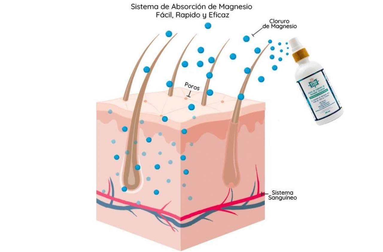 Etnolabs presenta su aceite de magnesio extraído del mar Zechstein
