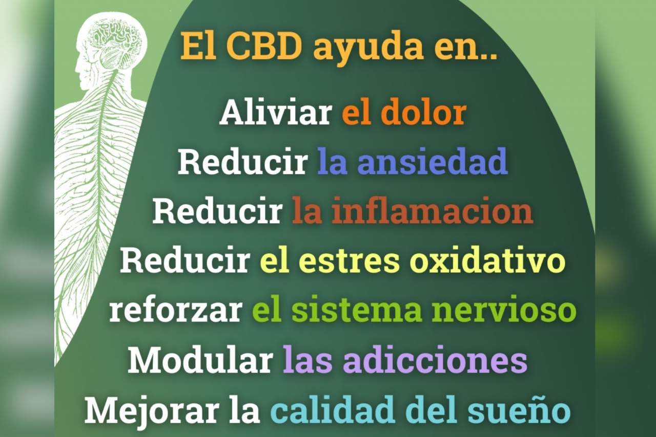 Spirit Natura ofrece cannabis (CBD) ecológico y proyecto medioambiental
