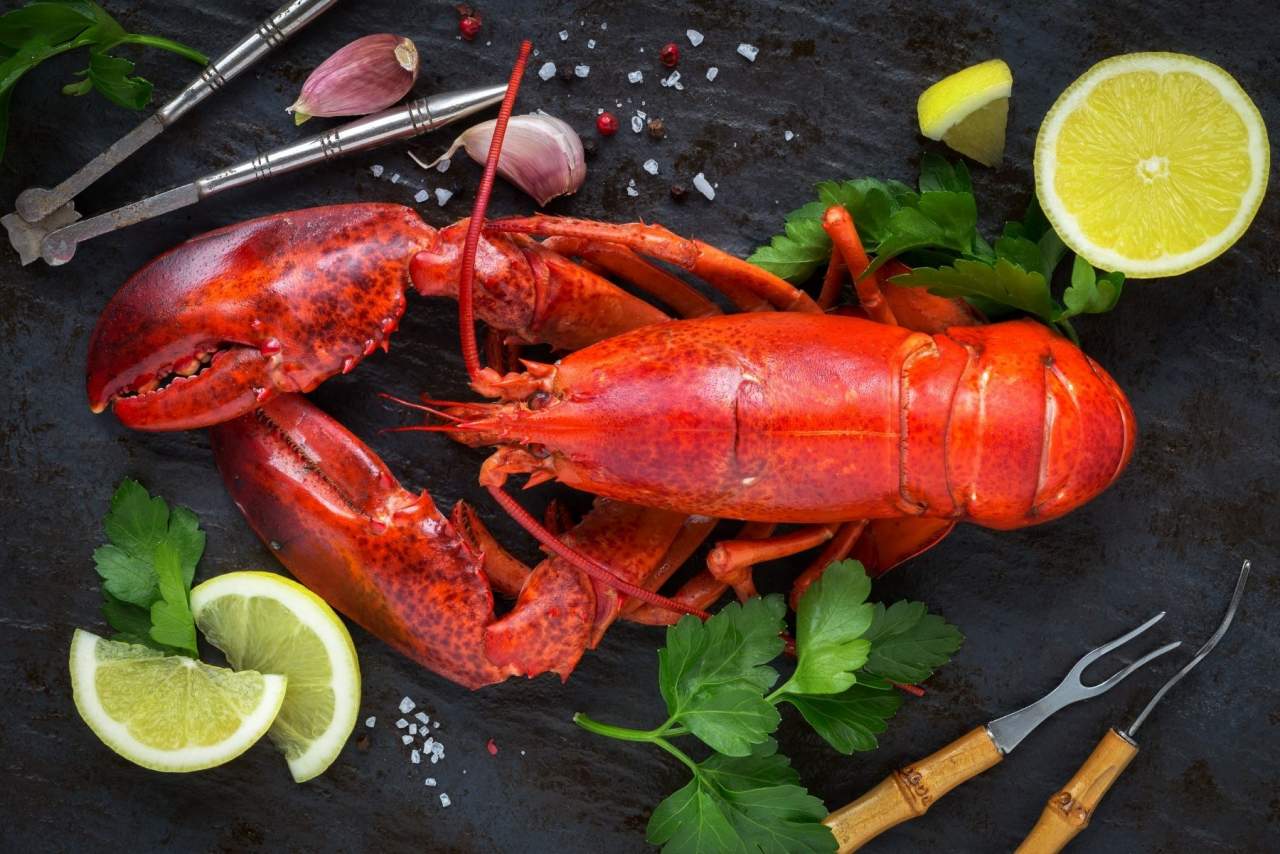 El mejor producto del mar en casa con Marisco Galego