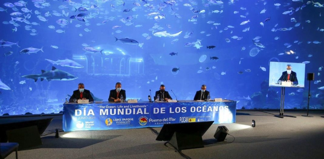 Foto de Día Mundial de los Océanos en el acuario Poema del Mar