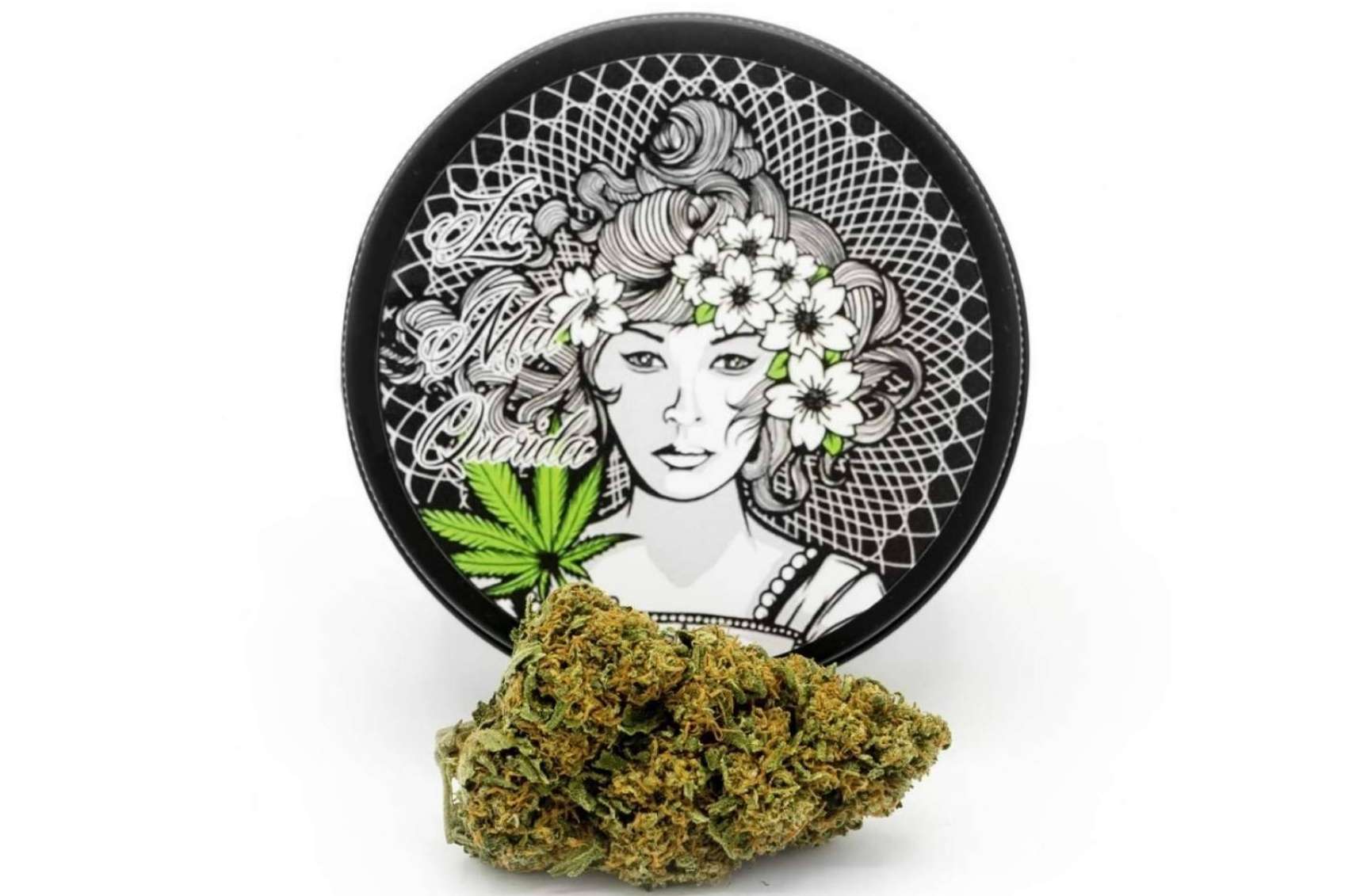 ¿Qué es el CBD? La Mal Querida