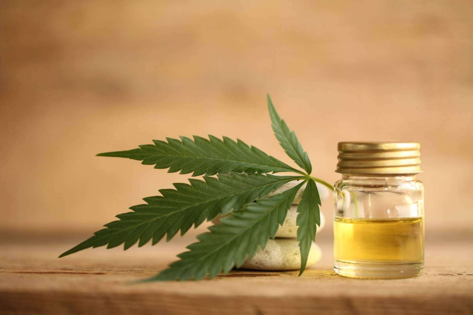 Aceite CBD: todo lo que es necesario saber, por De Pata Verde