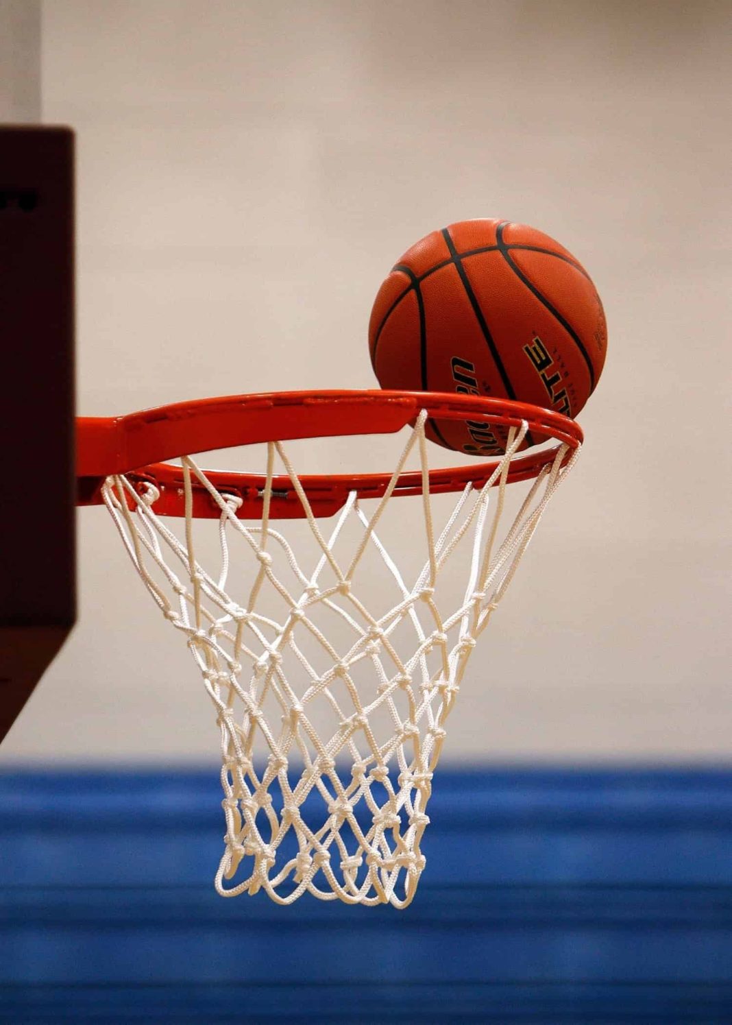 Foto de Todobasket.pro