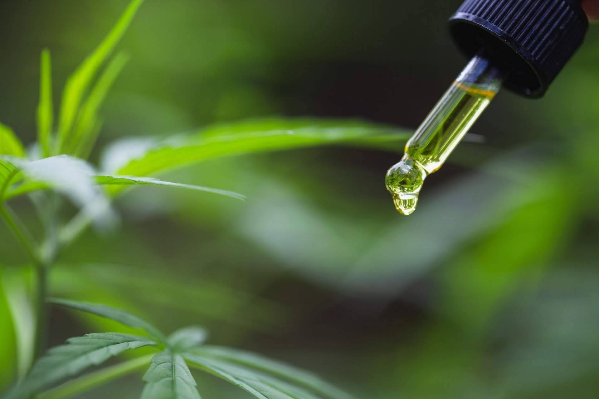 Legalhemp Biocosmetic: ¿Cómo puede el aceite CBD mejorar molestias musculares?