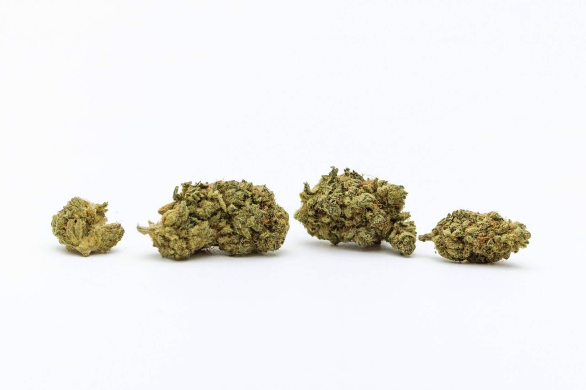 De Pata Verde: ¿Qué son las flores de cannabidiol?