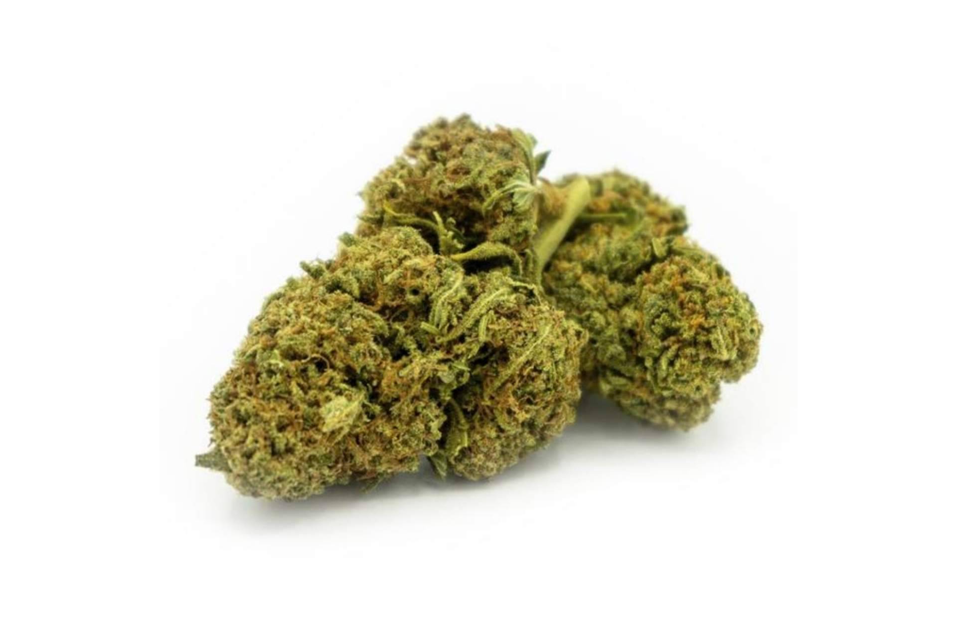 ¿Qué dice el aspecto legal del CBD?, por La Mal Querida