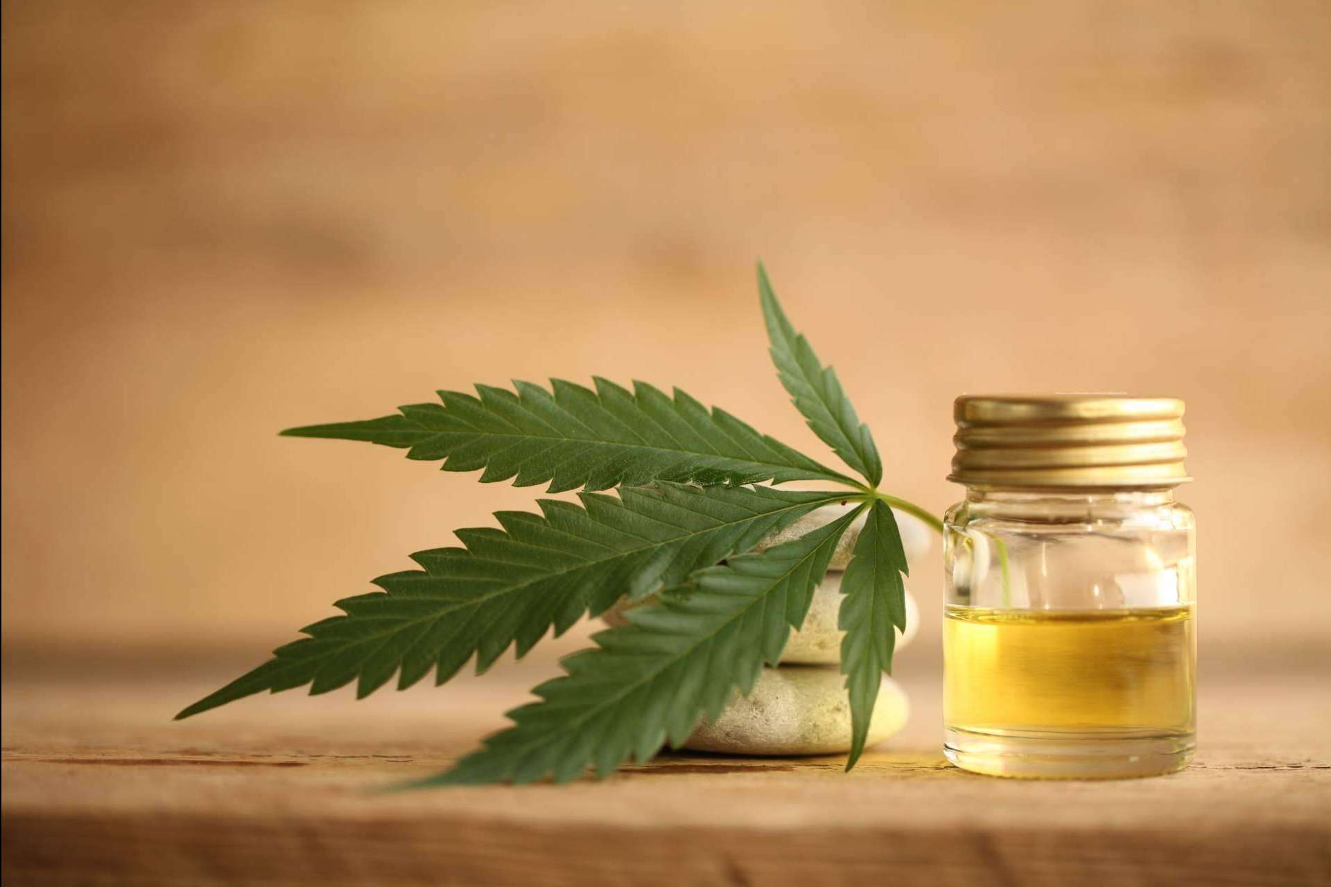 Los beneficios para la salud de las flores CBD