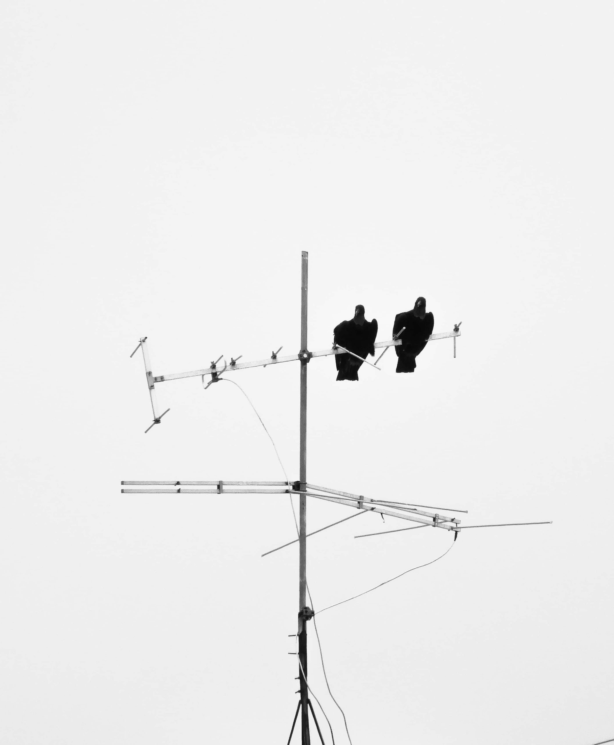 ¿Cómo funciona la antena del televisor? por antenas.me