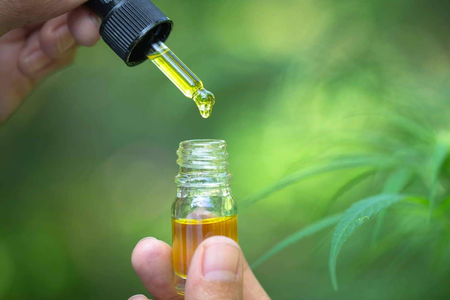 El CBD, las ventajas y la problemática que lo rodean, por Legal Hemp