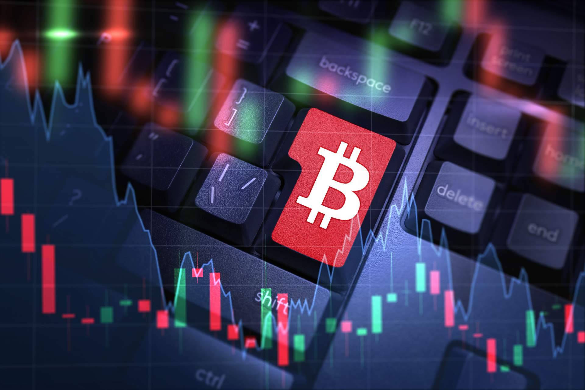 BEUROP otorga ingresos pasivos a través de BEPR, un token con mecanismo de reflexión