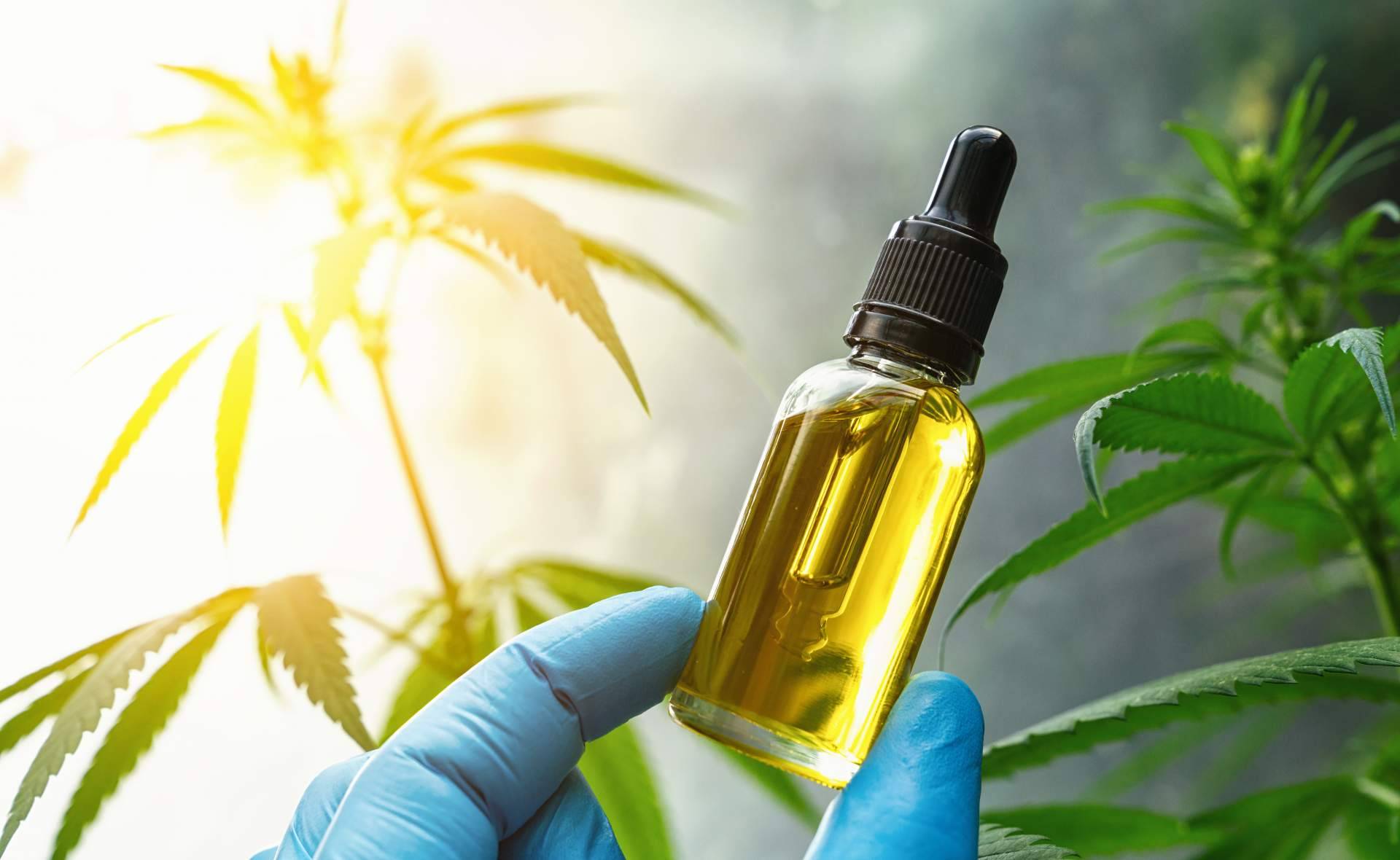 Legalhemp Biocosmetic, la tienda online que comercializa aceite CBD