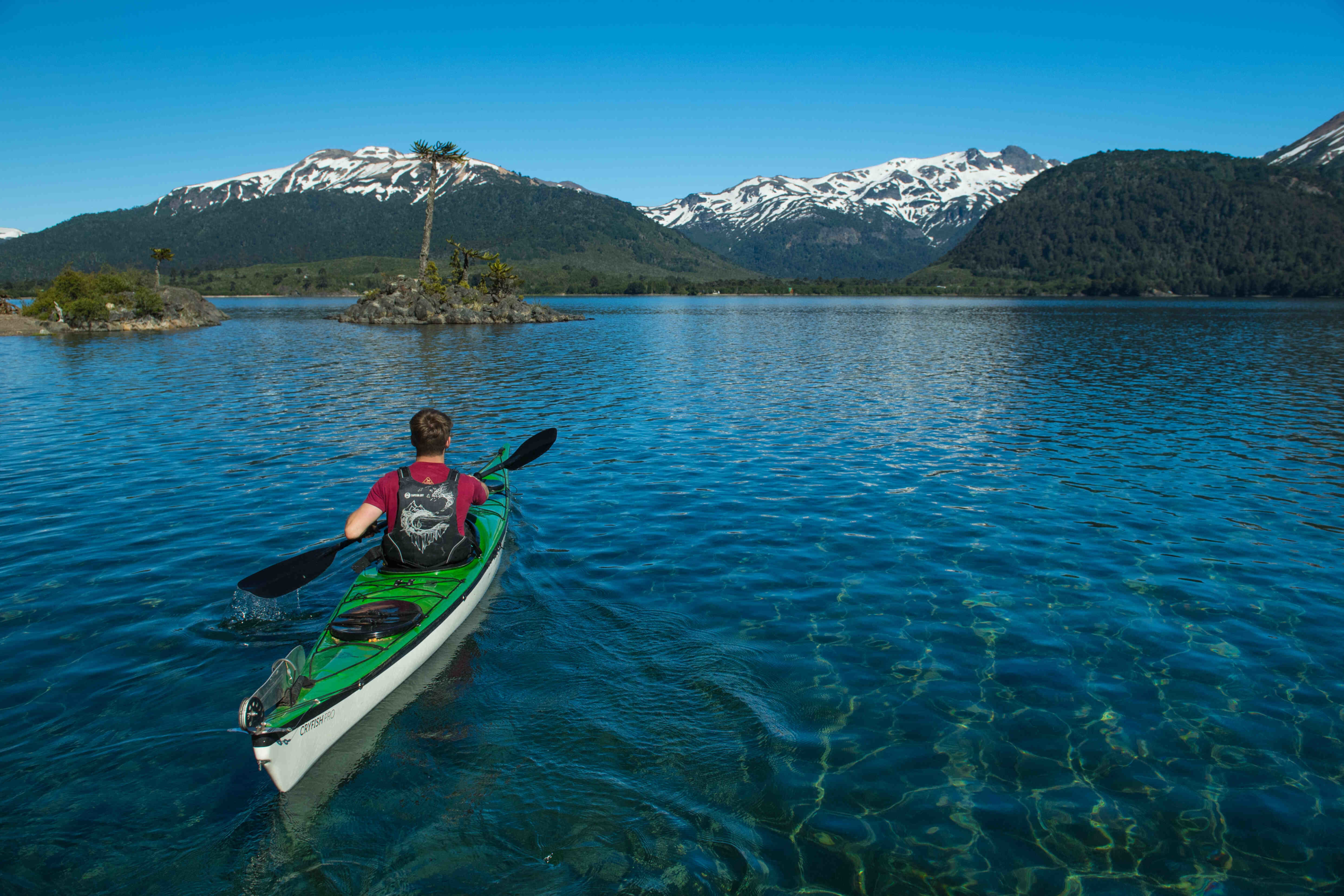 La Ruta de las Araucarias Milenarias: una experiencia de ensueño en los Andes