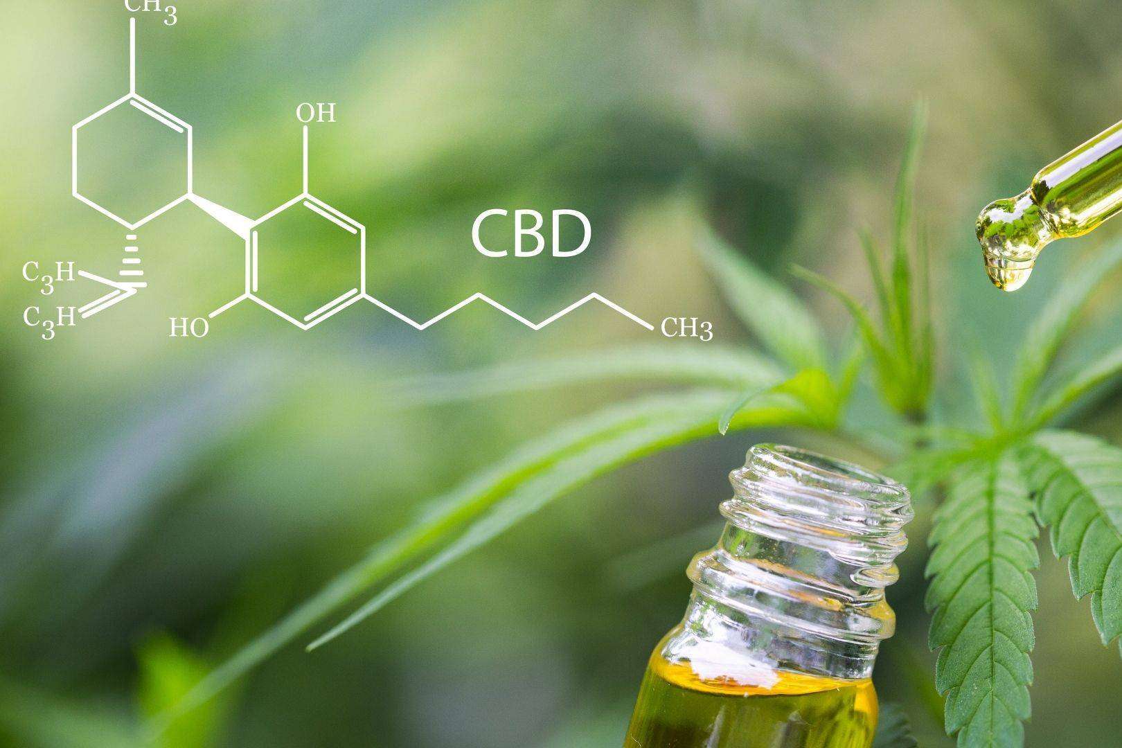 La creciente fama del CBD, por CrisEssens