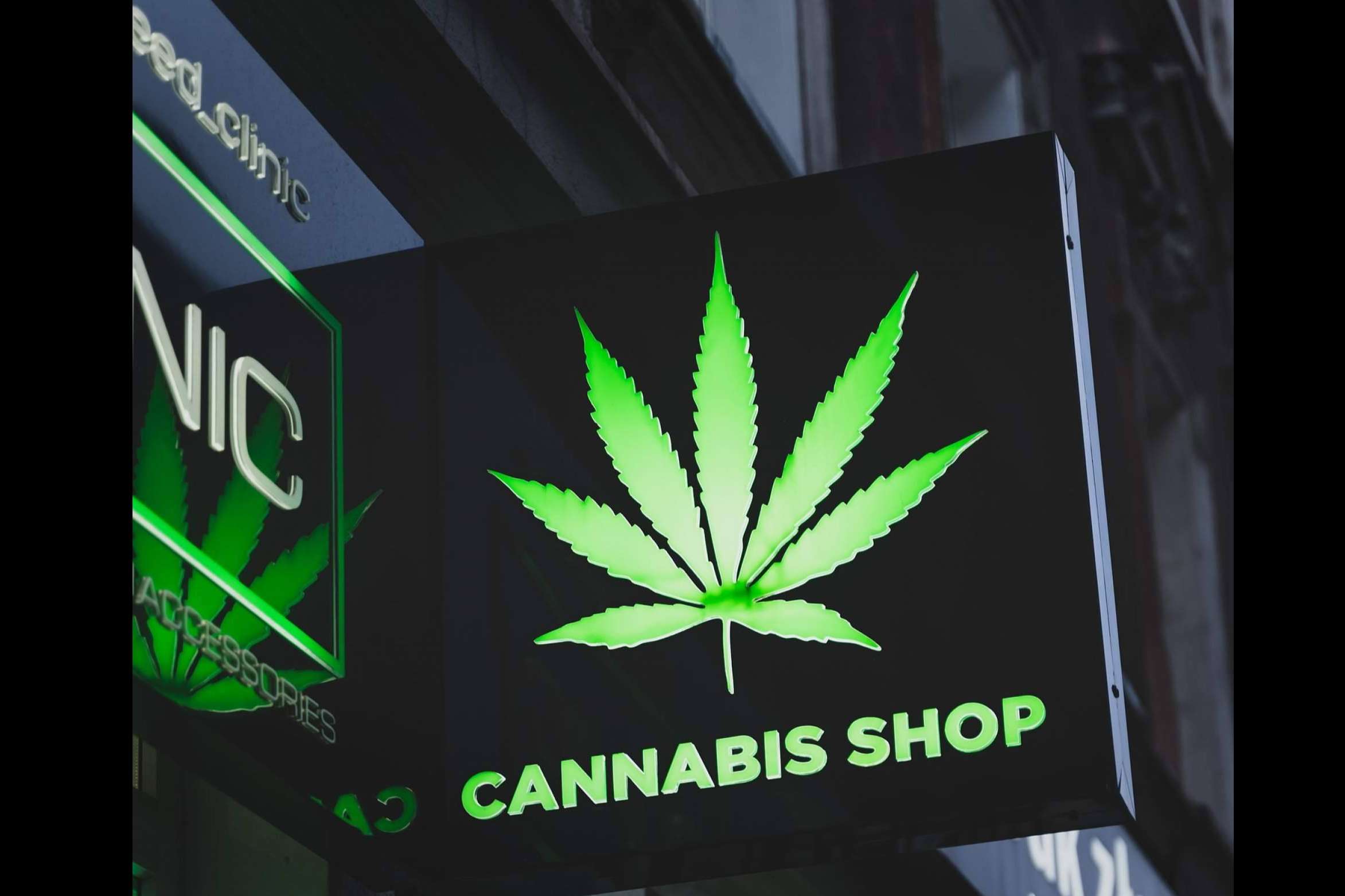 Canna Rural sobre los beneficios que aporta el cannabis en la salud
