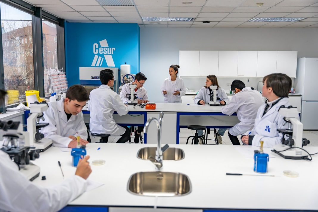 Foto de Cesur duplica el número de alumnos de FP dual en el último