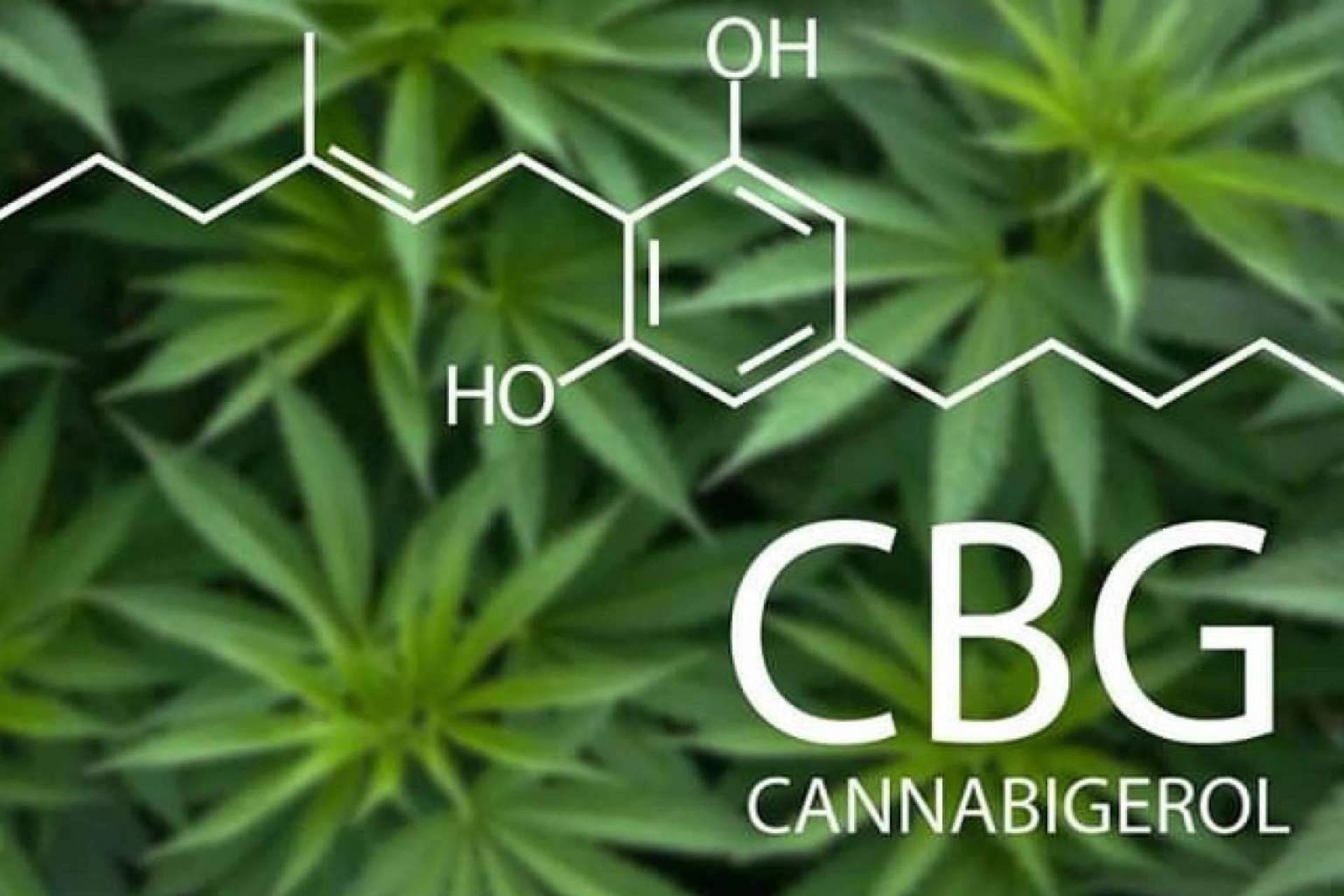 ¿Cuáles son las propiedades de los aceites de CBD con CBG?, de la mano de LabCBD