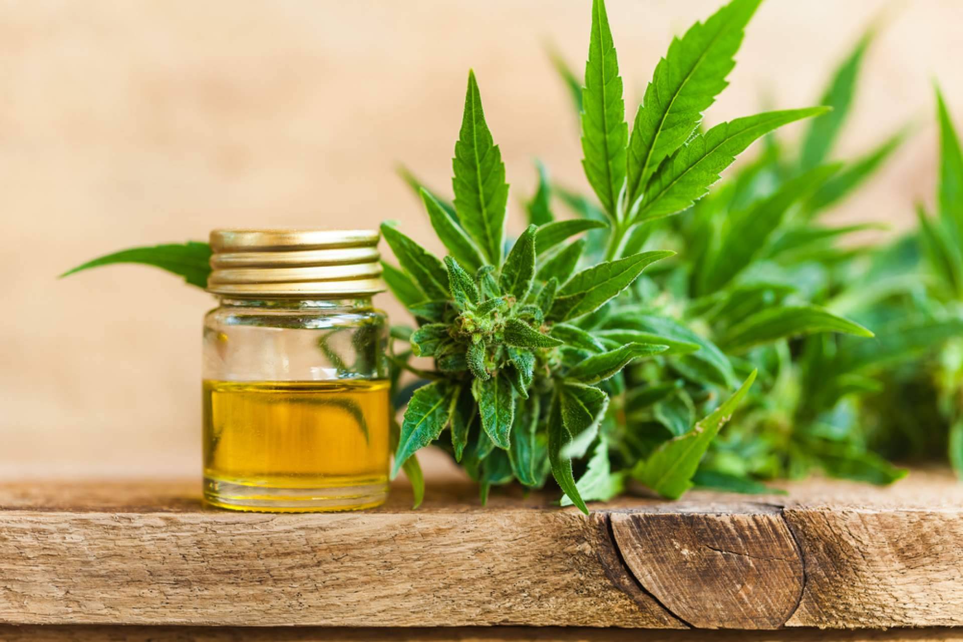 ¿Es posible conducir bajo los efectos del CBD?, con La Mal Querida