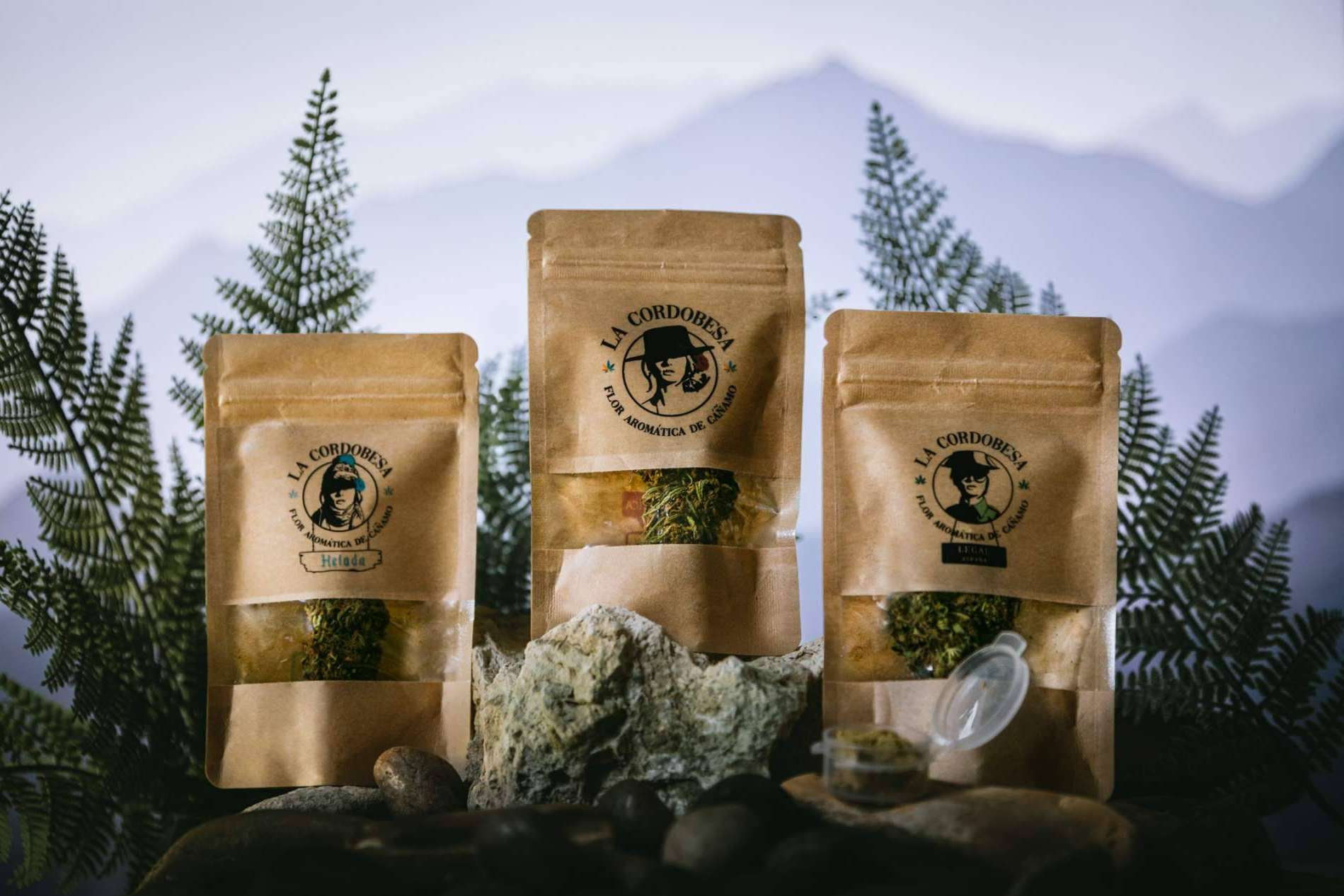 Las flores de CBD La Cordobesa son unas de las mejores flores del mercado