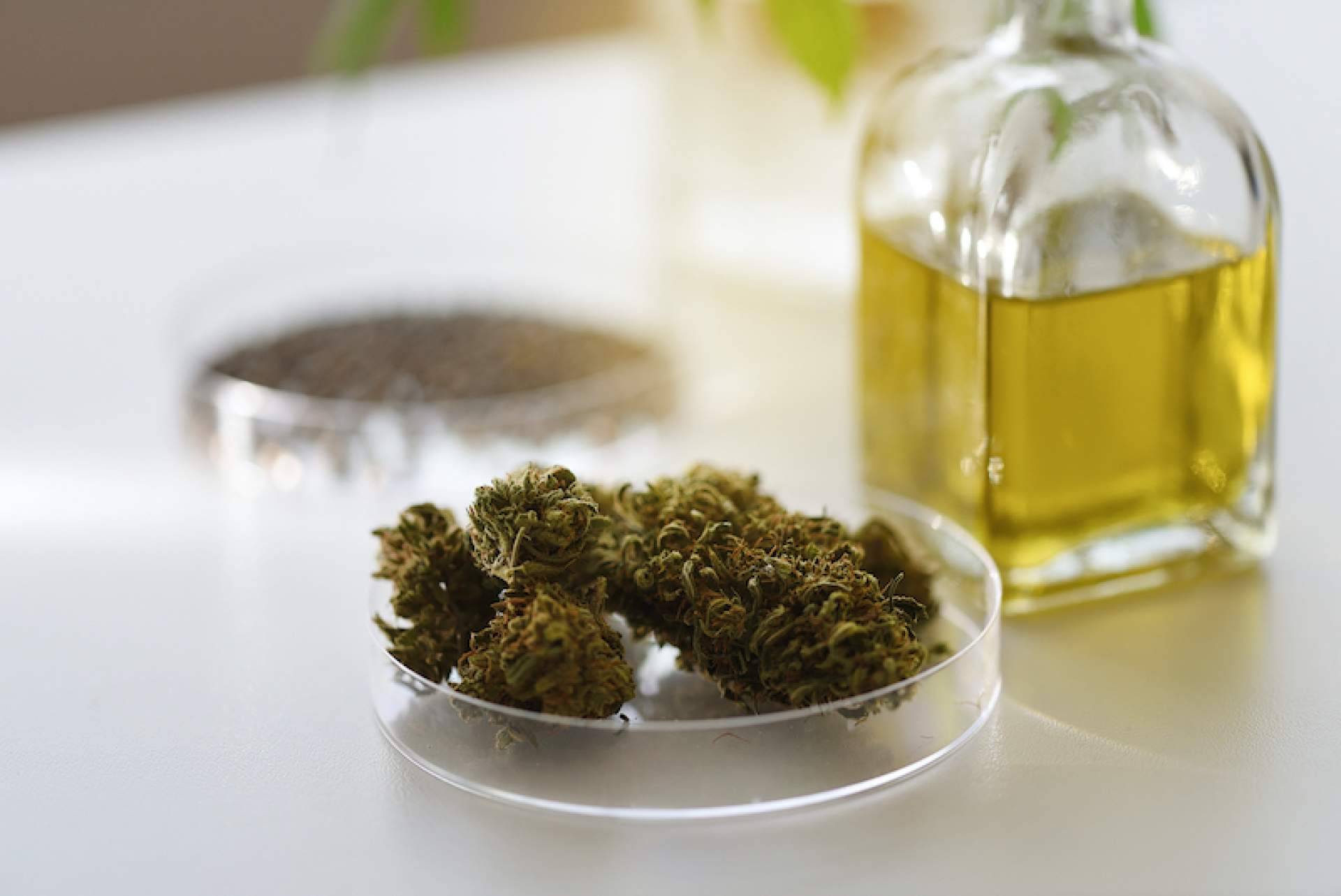 Flower Farm dispone de varios productos de CBD