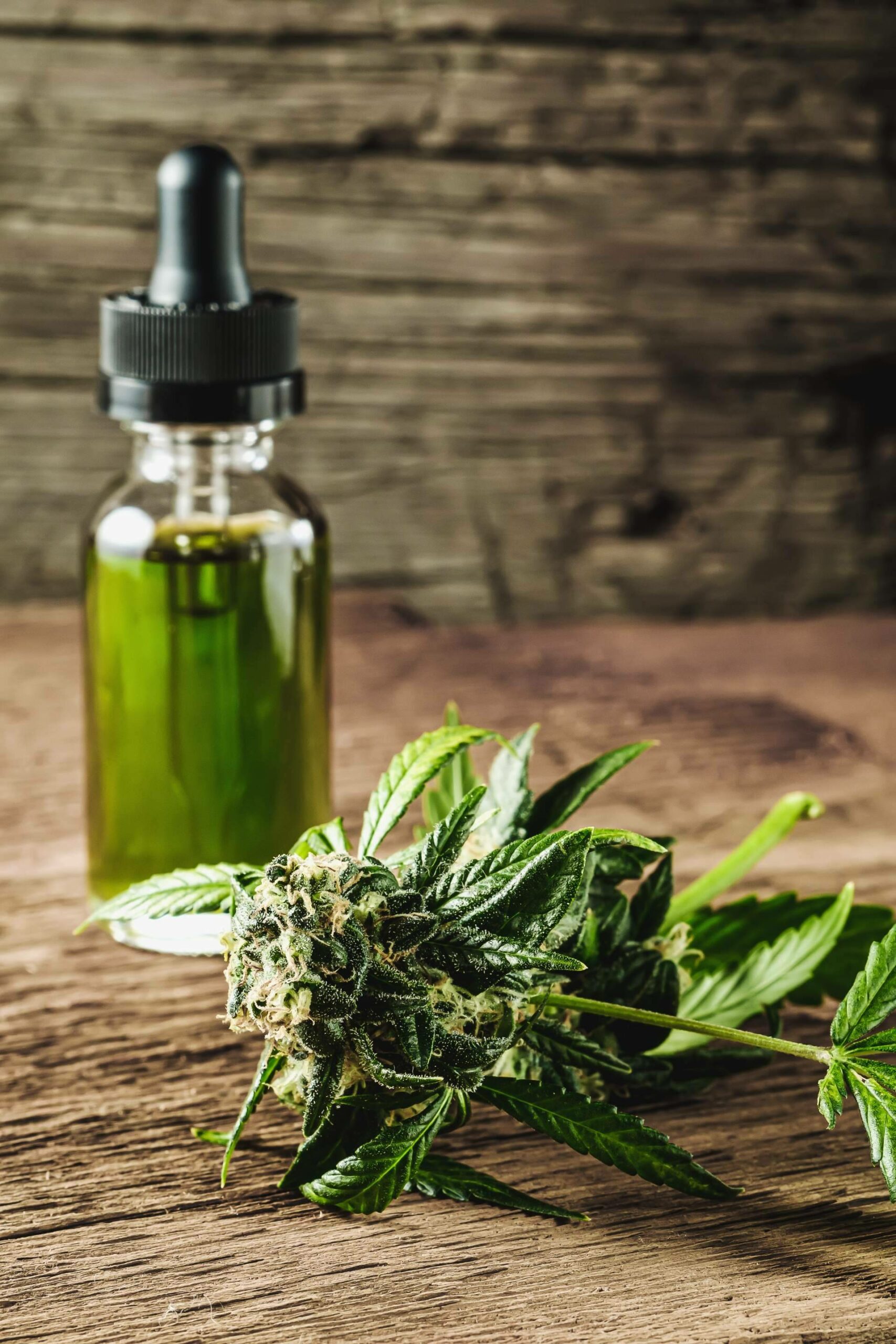 Comprar flores de CBD de calidad, en la tienda online de Kannaia